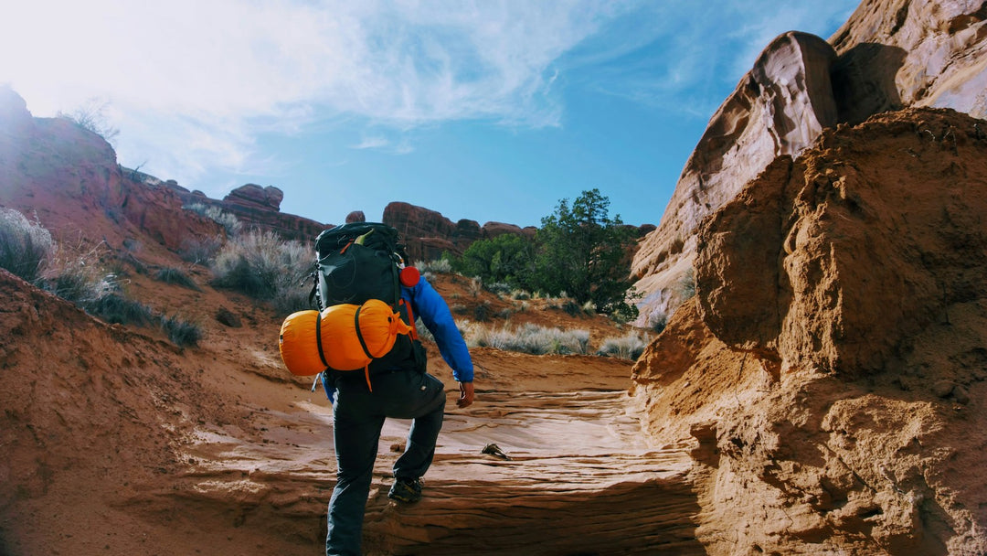 Backpacker's Paradise: Hiking Trails with Breathtaking Views