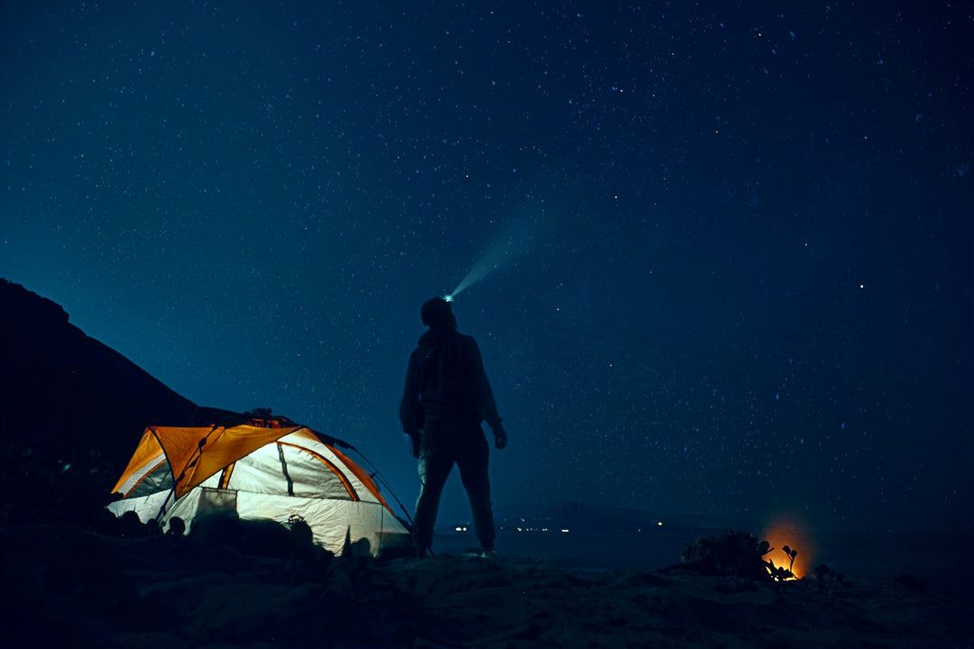 Stargazing on the Wild Side