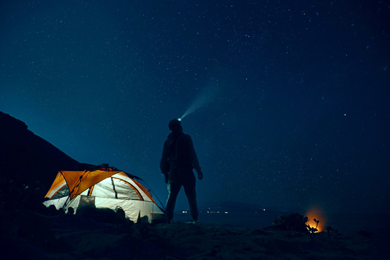 Stargazing on the Wild Side